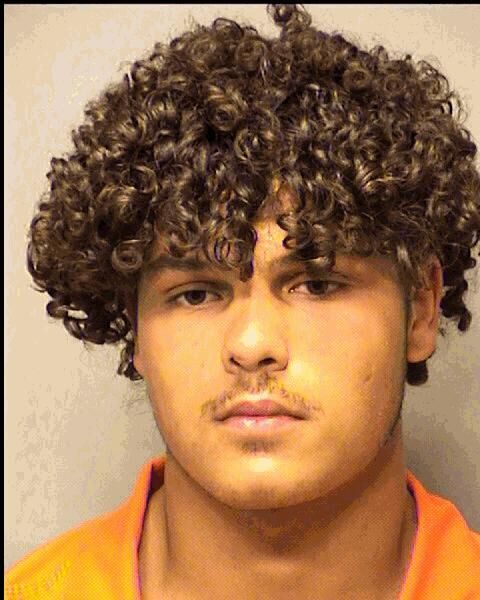 Trent Nicholas